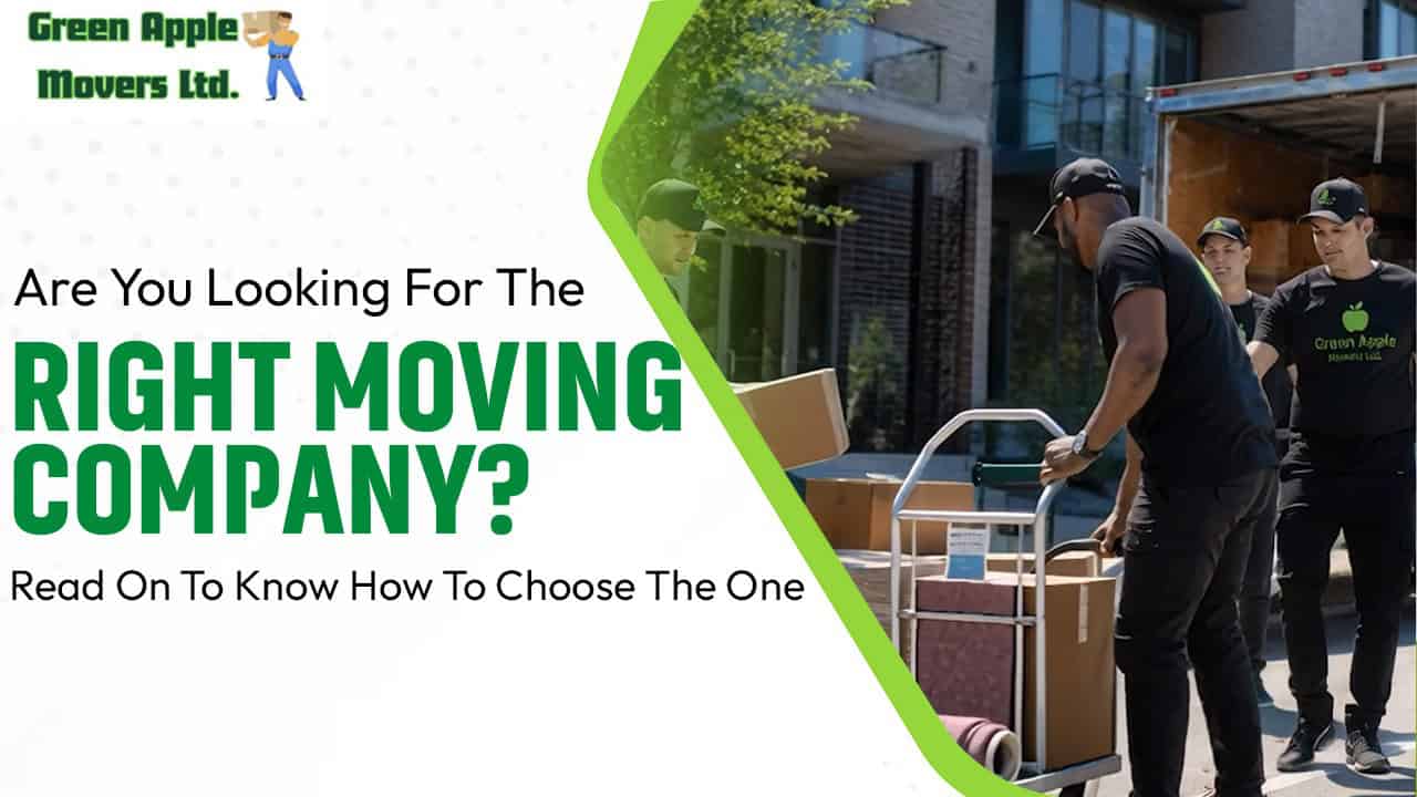 Are You Looking For The Right Moving Company? Read On To Know How To Choose The One